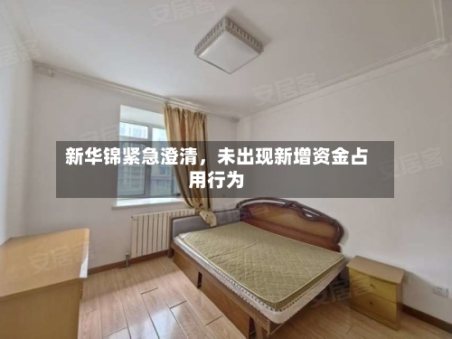 新华锦紧急澄清，未出现新增资金占用行为-第2张图片
