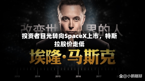 投资者目光转向SpaceX上市	，特斯拉股价走低-第2张图片