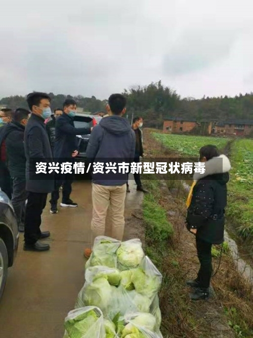 资兴疫情/资兴市新型冠状病毒