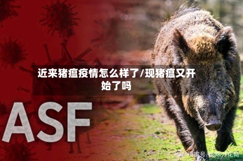 近来猪瘟疫情怎么样了/现猪瘟又开始了吗