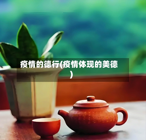 疫情的德行(疫情体现的美德)