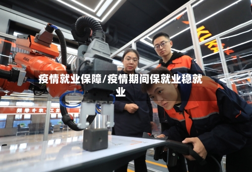 疫情就业保障/疫情期间保就业稳就业
