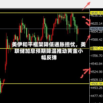 美伊和平框架降低通胀担忧	，美联储加息预期降温推动黄金小幅反弹-第2张图片