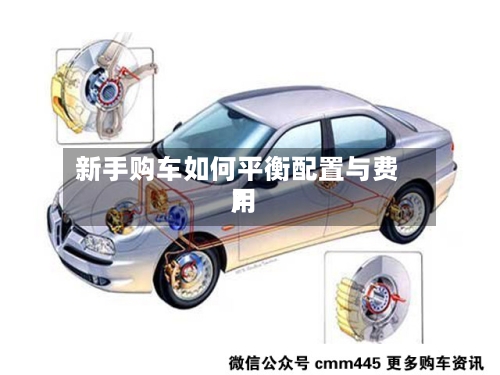 新手购车如何平衡配置与费用？