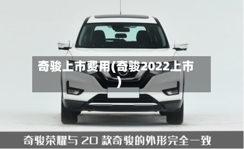 奇骏上市费用(奇骏2022上市)