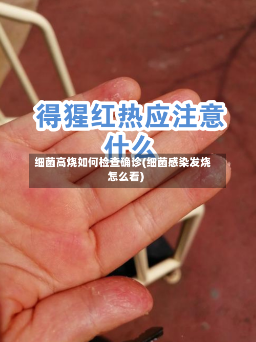 细菌高烧如何检查确诊(细菌感染发烧怎么看)