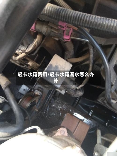 轻卡水箱费用/轻卡水箱漏水怎么办补