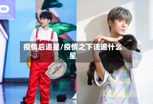 疫情后追星/疫情之下该追什么星-第2张图片