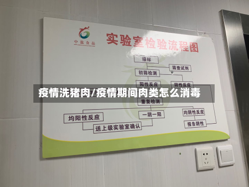 疫情洗猪肉/疫情期间肉类怎么消毒