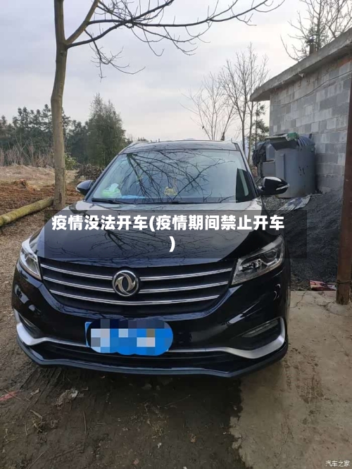 疫情没法开车(疫情期间禁止开车)-第3张图片