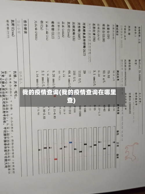 我的疫情查询(我的疫情查询在哪里查)