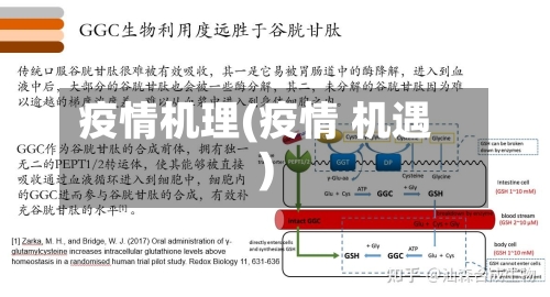 疫情机理(疫情 机遇)-第2张图片