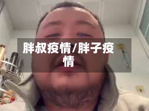 胖叔疫情/胖子疫情-第3张图片
