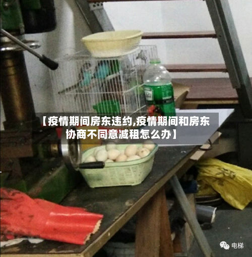 【疫情期间房东违约,疫情期间和房东协商不同意减租怎么办】