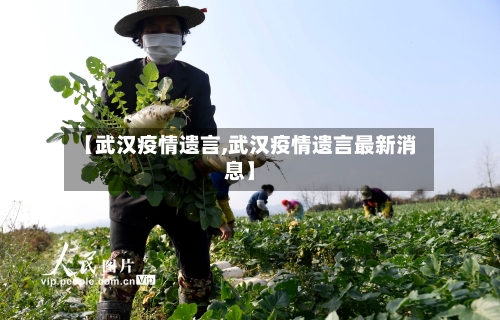 【武汉疫情遗言,武汉疫情遗言最新消息】-第2张图片