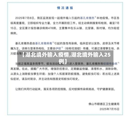 【湖北境外输入疫情,湖北境外输入25例】-第3张图片