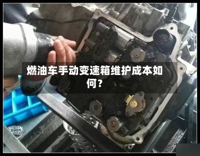 燃油车手动变速箱维护成本如何？-第2张图片