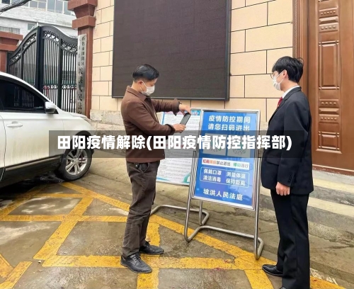 田阳疫情解除(田阳疫情防控指挥部)-第2张图片