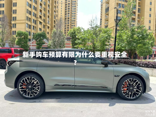 新手购车预算有限为什么要重视安全？-第3张图片