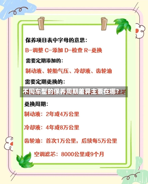不同车型的保养周期差异主要在哪？