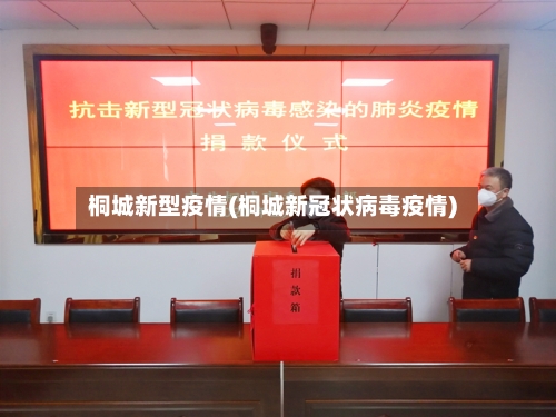 桐城新型疫情(桐城新冠状病毒疫情)-第2张图片