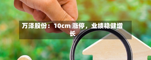 万泽股份：10cm 涨停，业绩稳健增长-第2张图片