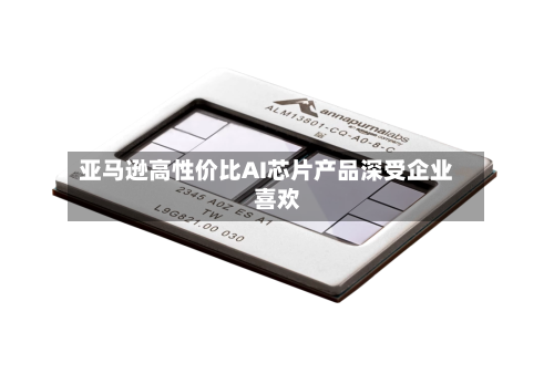 亚马逊高性价比AI芯片产品深受企业喜欢-第2张图片