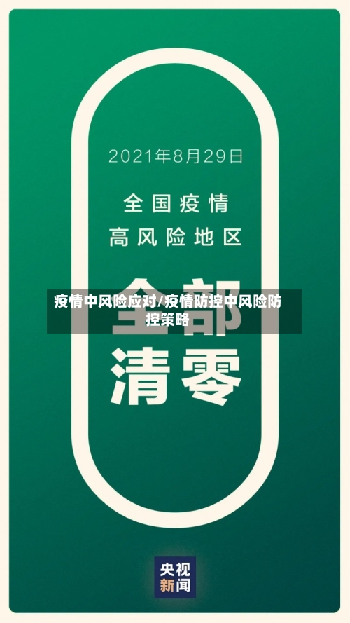 疫情中风险应对/疫情防控中风险防控策略
