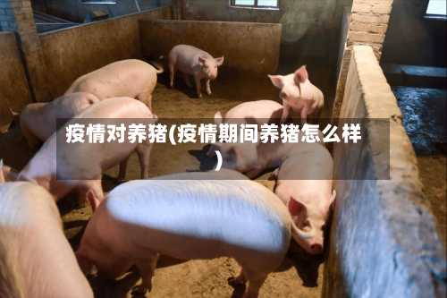 疫情对养猪(疫情期间养猪怎么样)-第2张图片