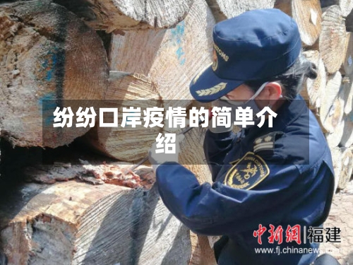 纷纷口岸疫情的简单介绍-第2张图片