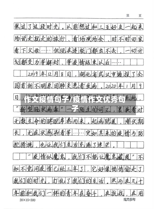 作文疫情句子/疫情作文优秀句子