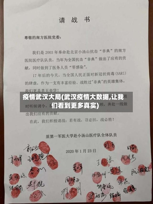 疫情武汉大局(武汉疫情大数据,让我们看到更多真实)-第2张图片