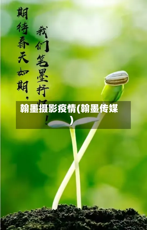 翰墨摄影疫情(翰墨传媒)-第3张图片