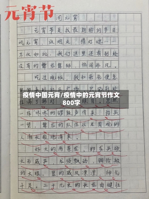 疫情中国元宵/疫情中的元宵节作文800字-第2张图片