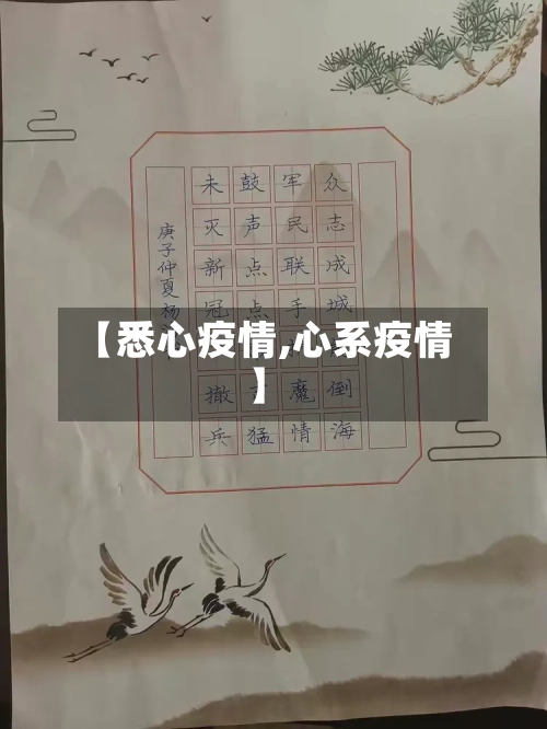 【悉心疫情,心系疫情】