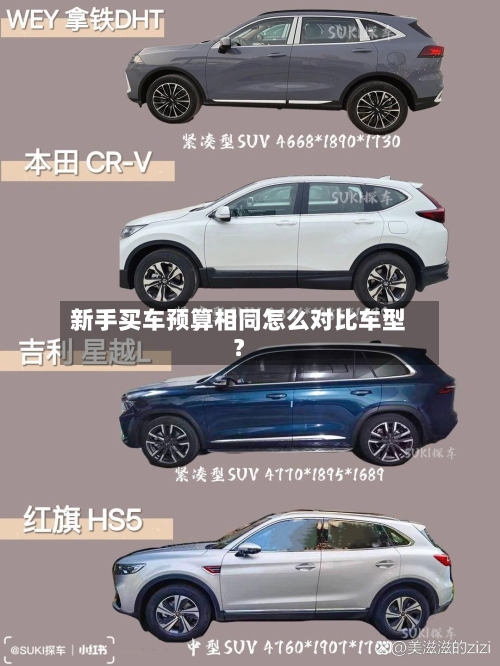 新手买车预算相同怎么对比车型？-第2张图片
