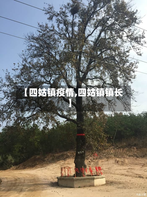 【四姑镇疫情,四姑镇镇长】-第2张图片