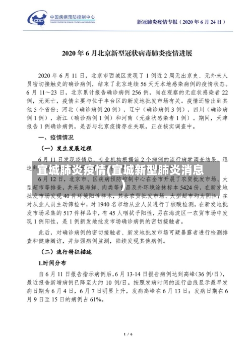 宜城肺炎疫情(宜城新型肺炎消息)-第3张图片