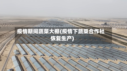 疫情期间蔬菜大棚(疫情下蔬菜合作社恢复生产)-第3张图片