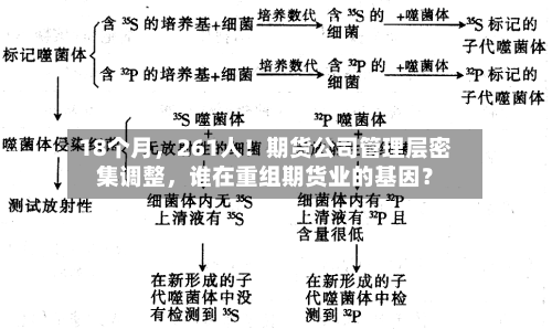 18个月，261人！期货公司管理层密集调整，谁在重组期货业的基因？