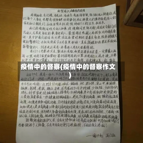疫情中的督察(疫情中的督察作文)