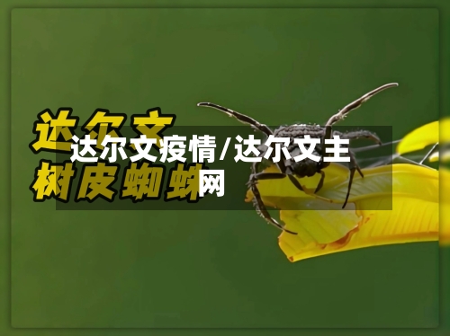 达尔文疫情/达尔文主网-第2张图片