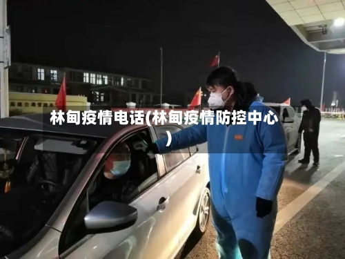 林甸疫情电话(林甸疫情防控中心)