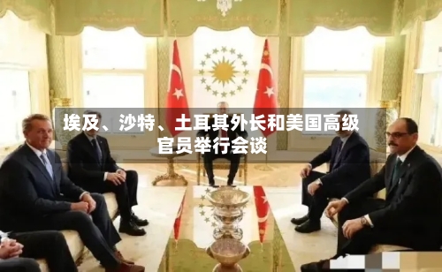 埃及、沙特、土耳其外长和美国高级官员举行会谈-第3张图片