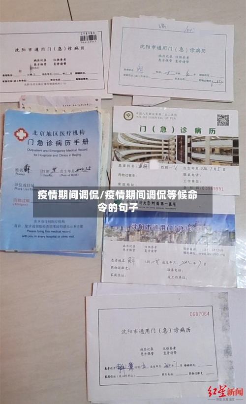 疫情期间调侃/疫情期间调侃等候命令的句子