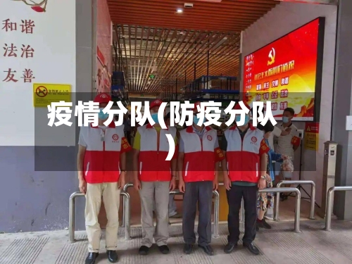 疫情分队(防疫分队)