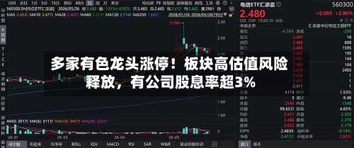 多家有色龙头涨停！板块高估值风险释放，有公司股息率超3%