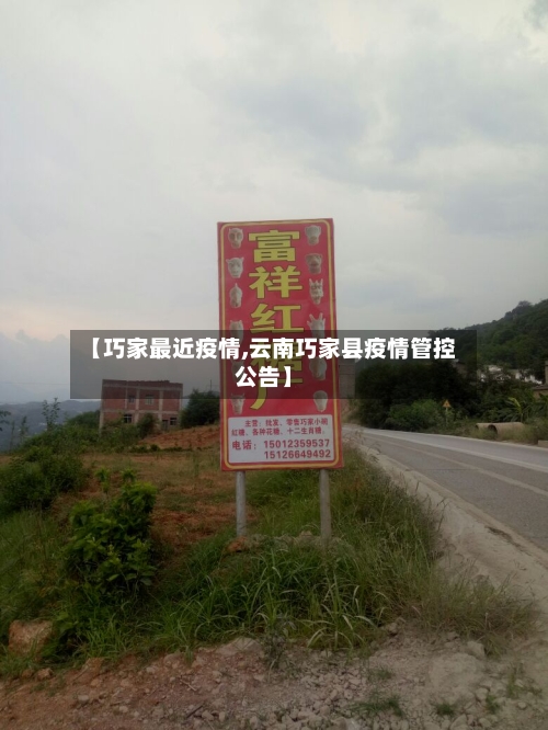 【巧家最近疫情,云南巧家县疫情管控公告】-第2张图片