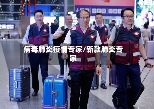病毒肺炎疫情专家/新款肺炎专家