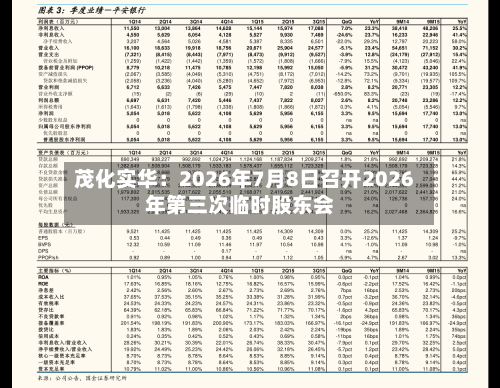茂化实华：2026年7月8日召开2026年第三次临时股东会